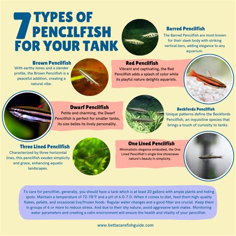 10 Types Of Pencil Fish & What They Need! .